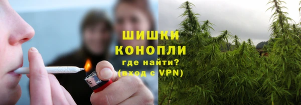 ECSTASY Белокуриха
